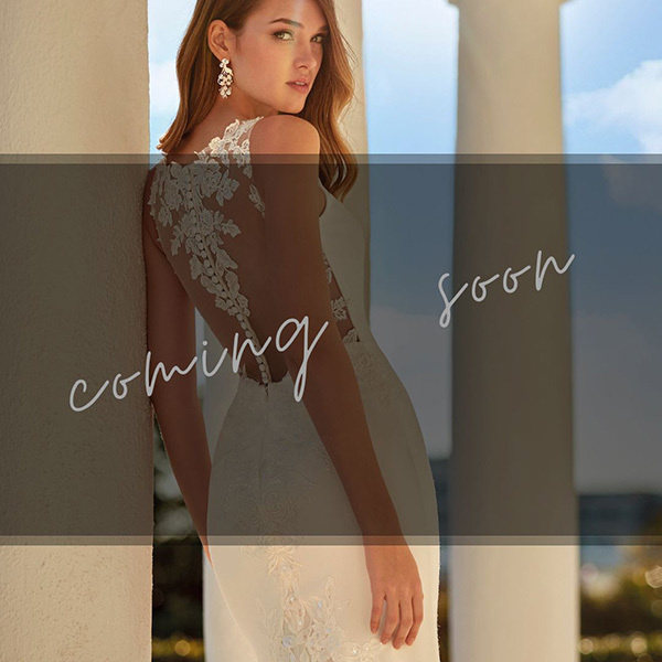 静岡市・富士市・沼津市のドレス専門店フィーノのインポートドレスもうすぐ入荷へリンク