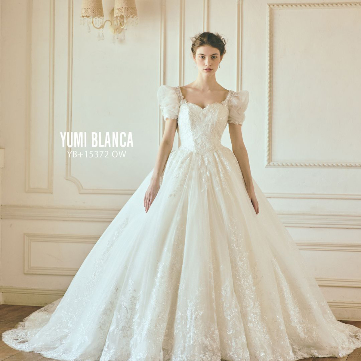 静岡市・富士市・沼津市のドレス専門店フィーノのフィーノ静岡店イベントNEW COLLECTION