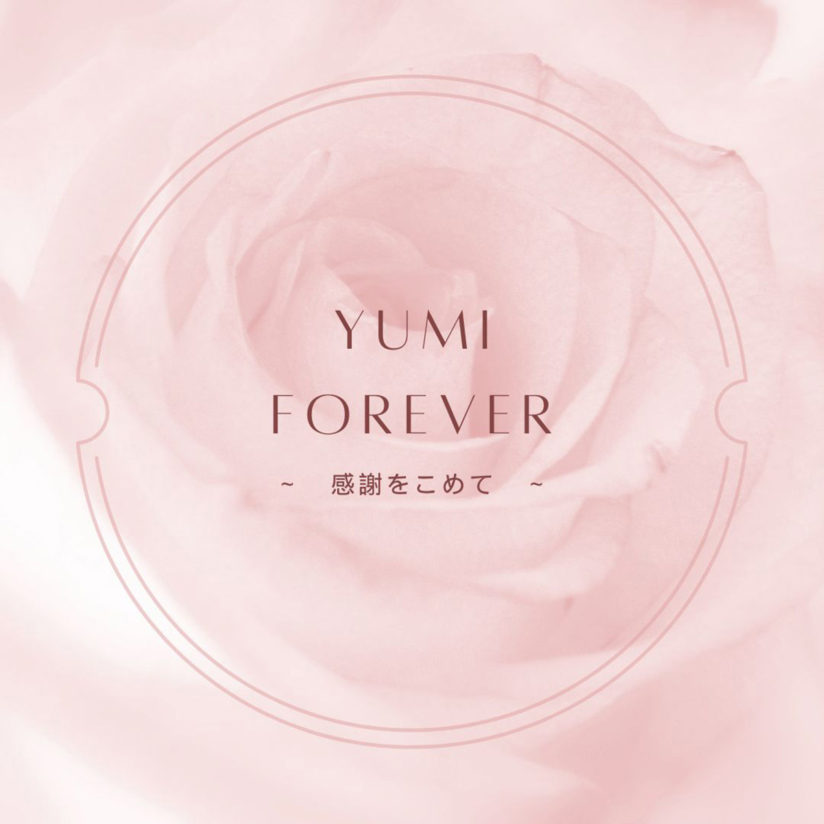 静岡市・富士市・沼津市のドレスショップ・フィーノの桂由美メモリアルフェア