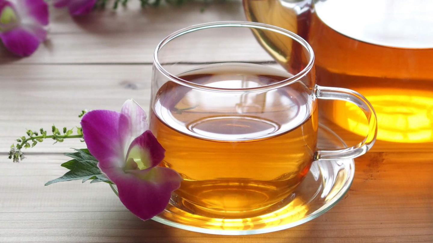 2月のフィーノ沼津店フェアのルイボスティー