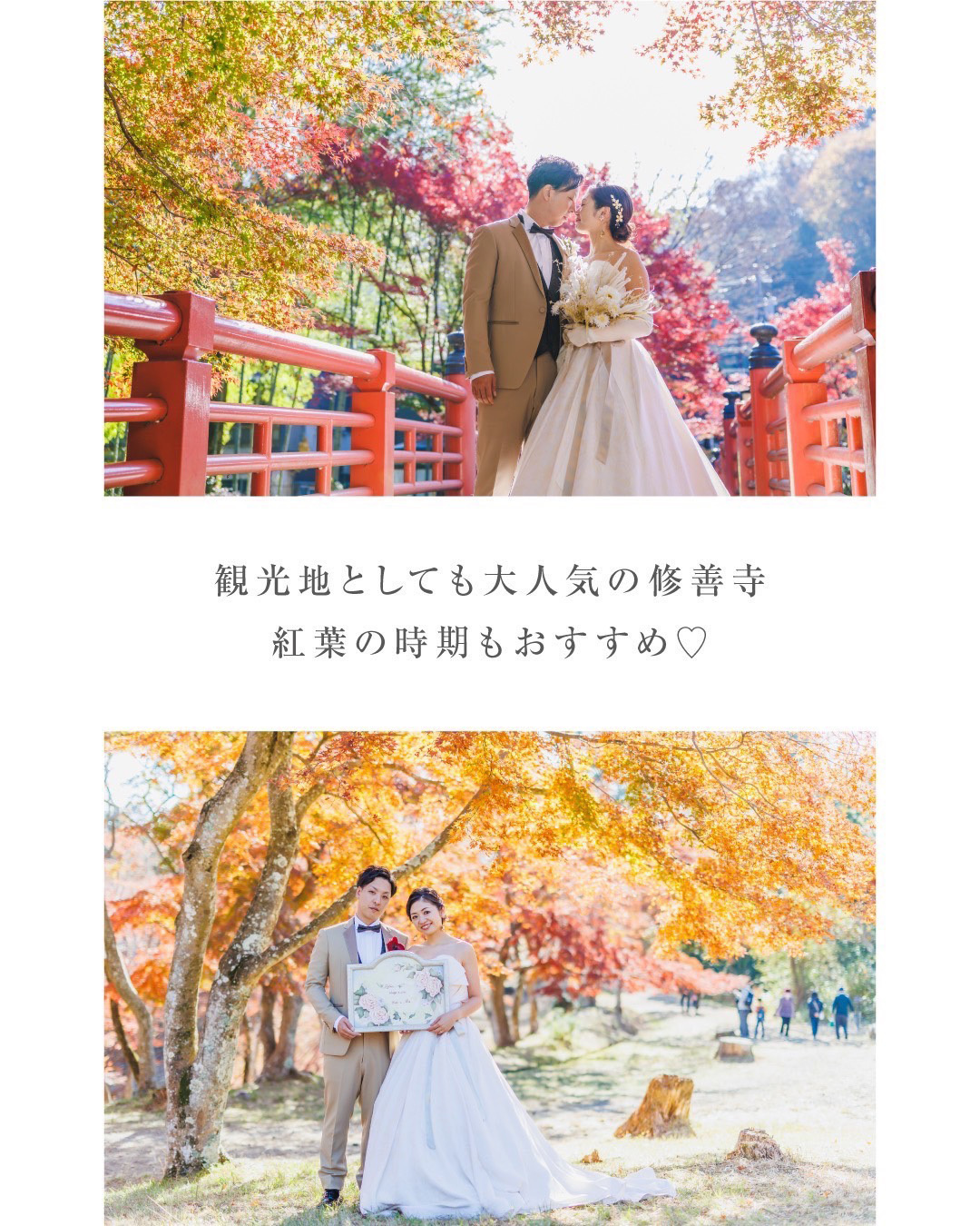  観光地としても大人気の修善寺・紅葉の時期もおすすめ♡