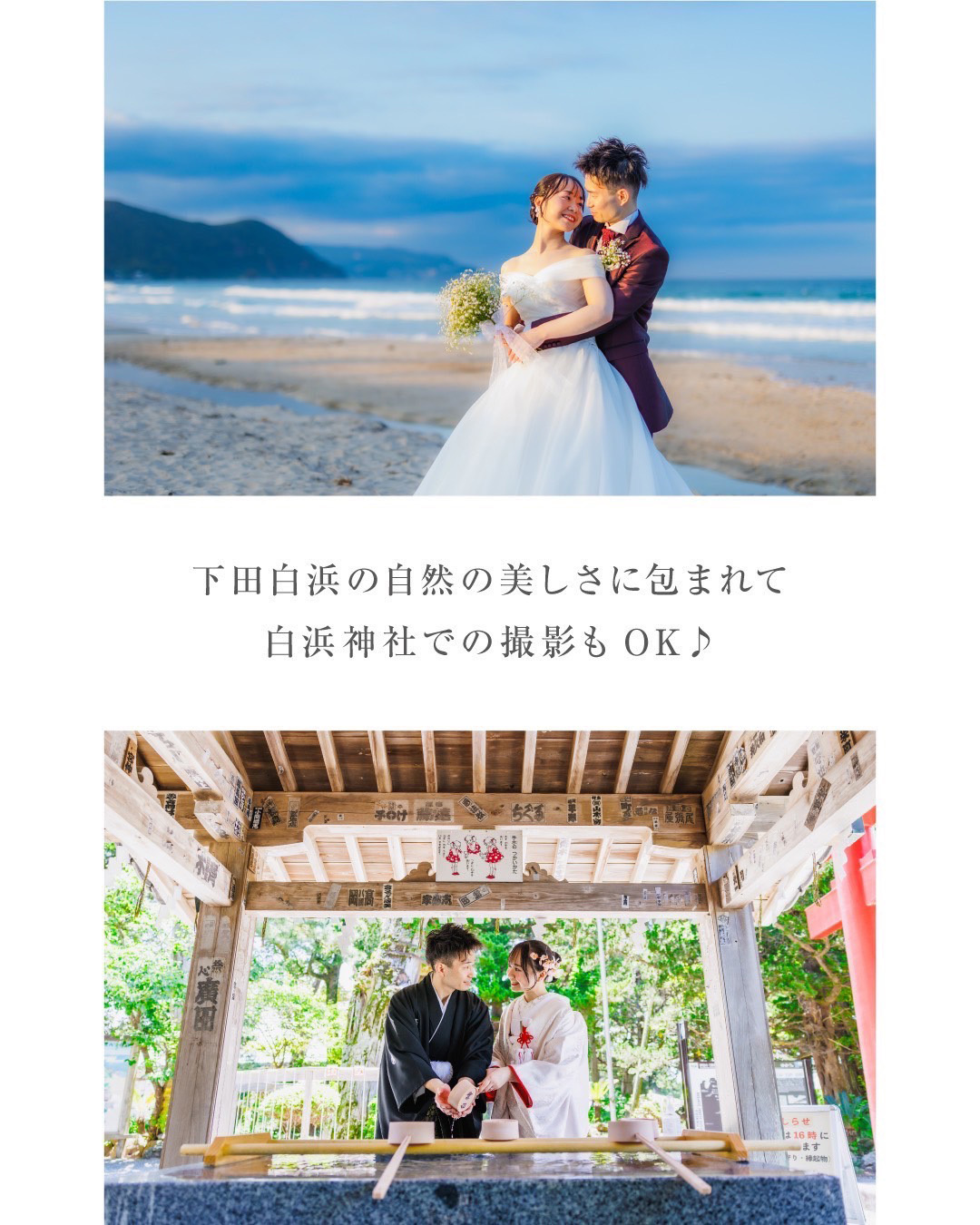 下田白浜の自然の美しさに包まれて・白浜神社での撮影もOK♪