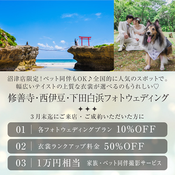 静岡市・富士市・沼津市のドレスショップ、フィーノ沼津店の限定フォトプラン